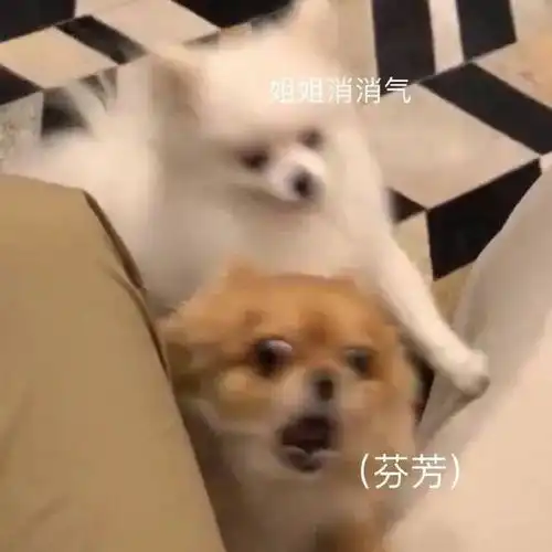 在线表情包沙雕酒后闹事