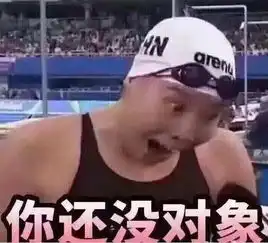  竟是段子手撩妹狂傅园慧孙杨这样叱咤奥运场