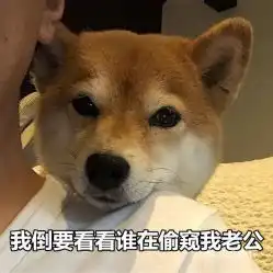  电话,地址,价格,营业时间