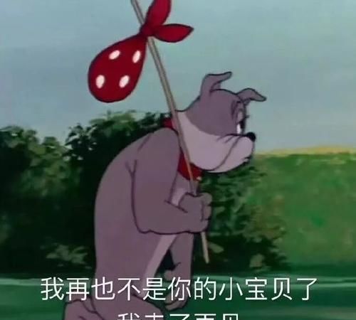  每日一笑看着儿子一天天长大,做父母的都是很高兴啊