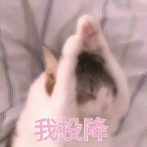  说了声要减肥,女子连续三个月被朋友点外卖投食,专家的点评亮了