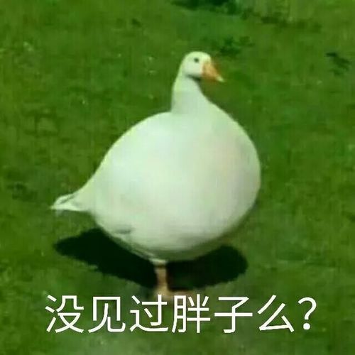  沙雕文案有这么沙雕的文案让朋友圈笑到停不下来确定这么沙雕