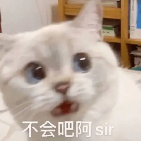 算我求你的表情包猫文案