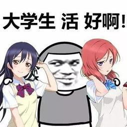  表情包虽然大学的门槛很高,但是我们的脚很长啊