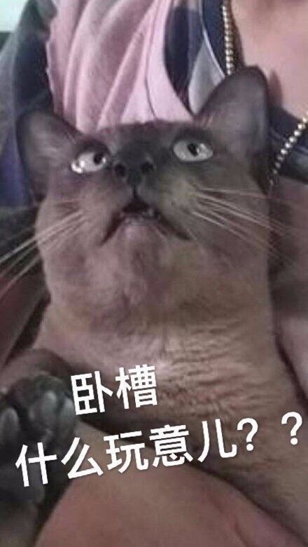  主人在敷面膜,拉着猫一起拍照,结果发现猫的表情亮了...