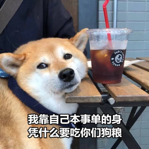 老实人表情包高清