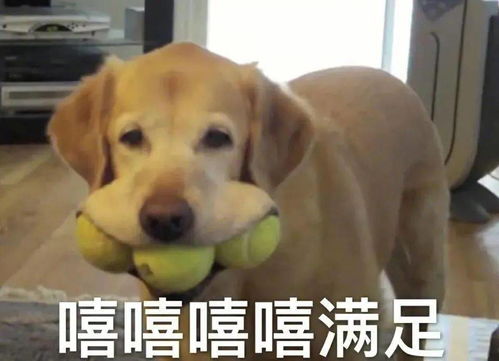  超省钱赶紧看天津6大乘车优惠活动来袭