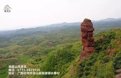  爷会玩70岁爷爷爱上和孙女斗图,甚至还自己手绘表情包...太魔性了