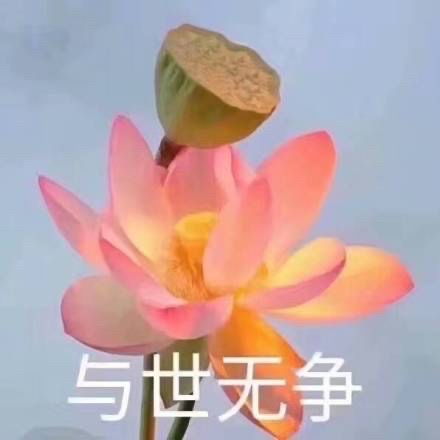 老年人表情包表情包