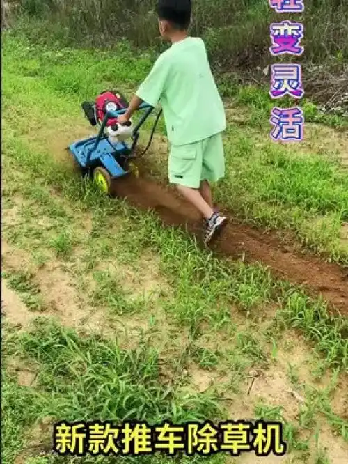  汽油手推式除草机调节书包减负开学支持三农扶持三农发展视频同款在商品橱窗