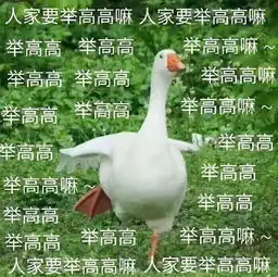  号外号外,孤独寂寞丑编辑招人啦