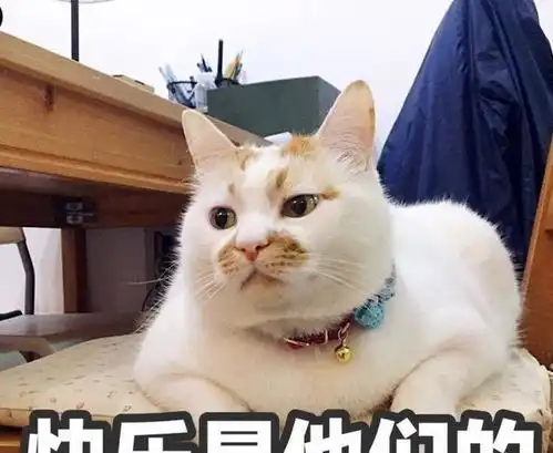 结婚时,岳父送给我三包,一包是膏药,一包是创口贴,一包是云南