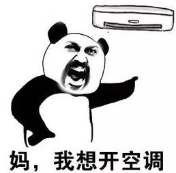  生完双胞胎,20天就出月子谢娜这是怎么了