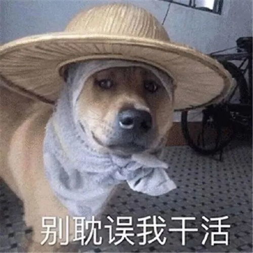  我已经受够这鬼热的天气了