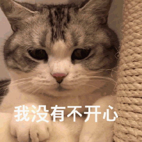  一发出去就能镇住朋友圈的沙雕文案3.0