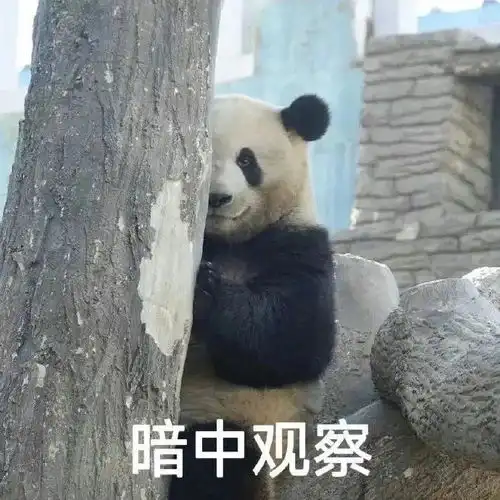  大学生不要再发求捞表情包了别再发求捞表情包了,大学生们