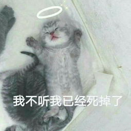  你做过最尴尬的事情是什么