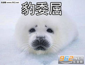  气的豹毙表情包自豹自弃表情包下载无水印乐游网游戏下载