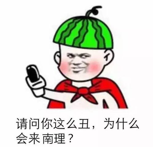  南理专属表情包2.0版,拿去装逼