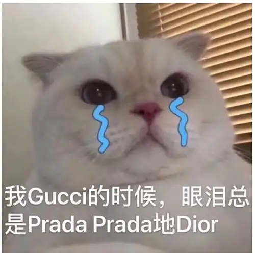 憨憨表情包图片求助电话