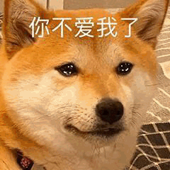  一组沙雕有趣的表情包气的阿巴阿巴,所以爱会消失呗