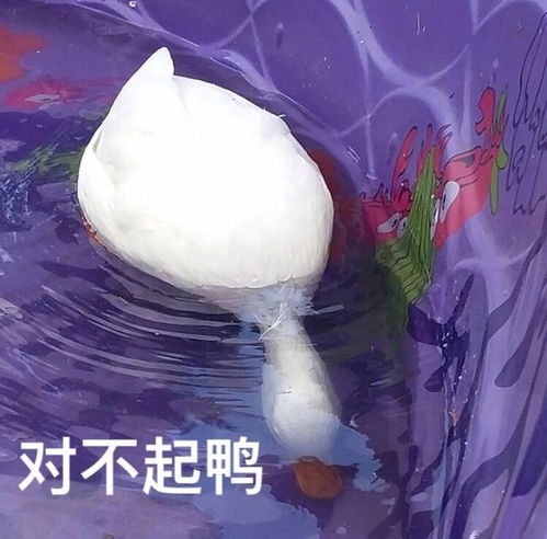  做错了,怎么可爱的跟男朋友道歉的文案