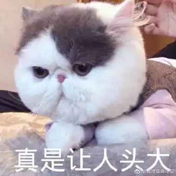 令人头大的表情包自黑