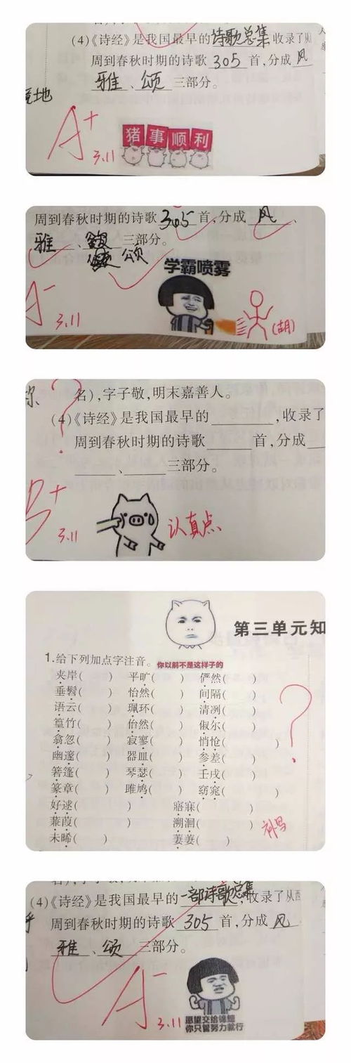  贴表情包批改作业