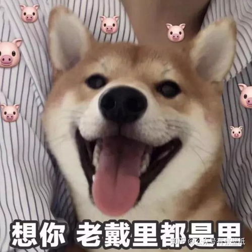 可爱的人要用可爱的表情包呐