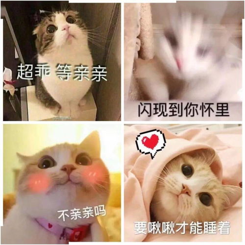  100张撩汉表情包,张张都是绝杀
