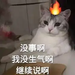  生气表情包我在生气耶