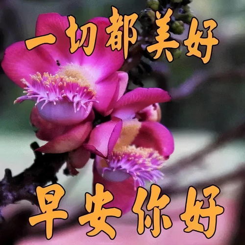  早晨安好朋友是永远的福,愿我的朋友快乐好运,早晨好