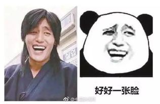 欢迎的表情包你的表情