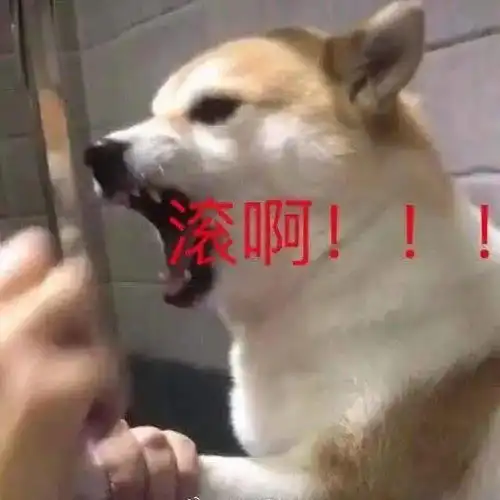  抖音热门表情包别催在路上了