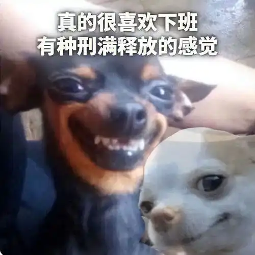  抖音收藏的表情哪里找今日头条
