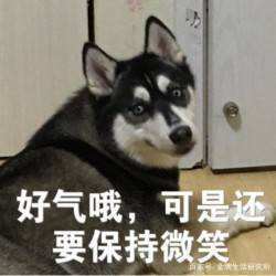  这届商家也太耿直了吧,你们在快递单上的沙雕留言都是认真的吗