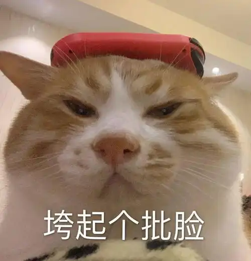  是好久不见的表情包啦