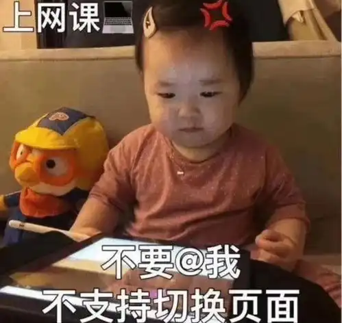  表情包别问,问就是在上网课