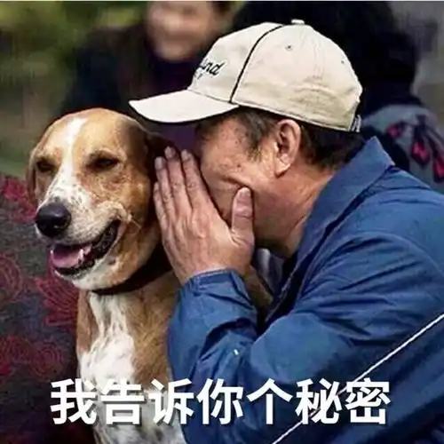 iphone表情包安卓下载比