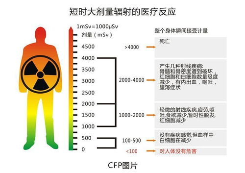  他被高能粒子束爆头,遭400倍致死辐射量,结果没死还考了个博士