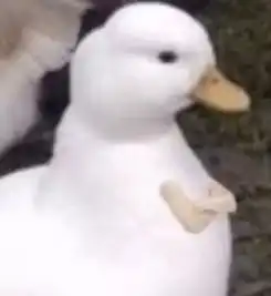 这份对长辈报价法一定要藏好,千万别被老妈看见 这份对长辈报价法一定要藏好,千万别被老妈看见