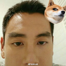  彭于晏是爱上自拍还是自毁鼻孔特写和抬头纹同个动作上瘾