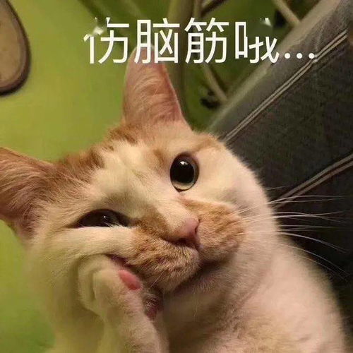  是谁想7点起床背单词结果睡到中午才醒心理学教你用这4招轻松完成计划