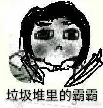  剑网3表情包分享垃圾堆里可怜的全门派