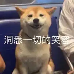  表情包认识你之后,我的表情包再也凶不起来了
