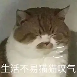  关于生活的表情包合集受够了生活的苦