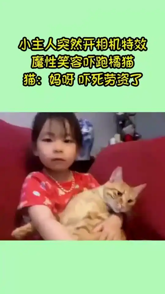  小主人突然开相机特效,魔性笑容吓跑橘猫