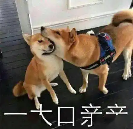  无意中发现女友把易烊千玺藏进衣柜结果现在的追星女孩这么疯狂吗