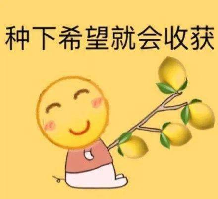  锦城公园有收成了油菜籽大白菜豌豆......你准备买哪样