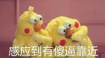  收好了鸡年表情包大全有了这些,过年斗图不再怕